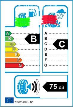 Immagine di CONTINENTAL  TS860S 295 35 R21 107V Winter